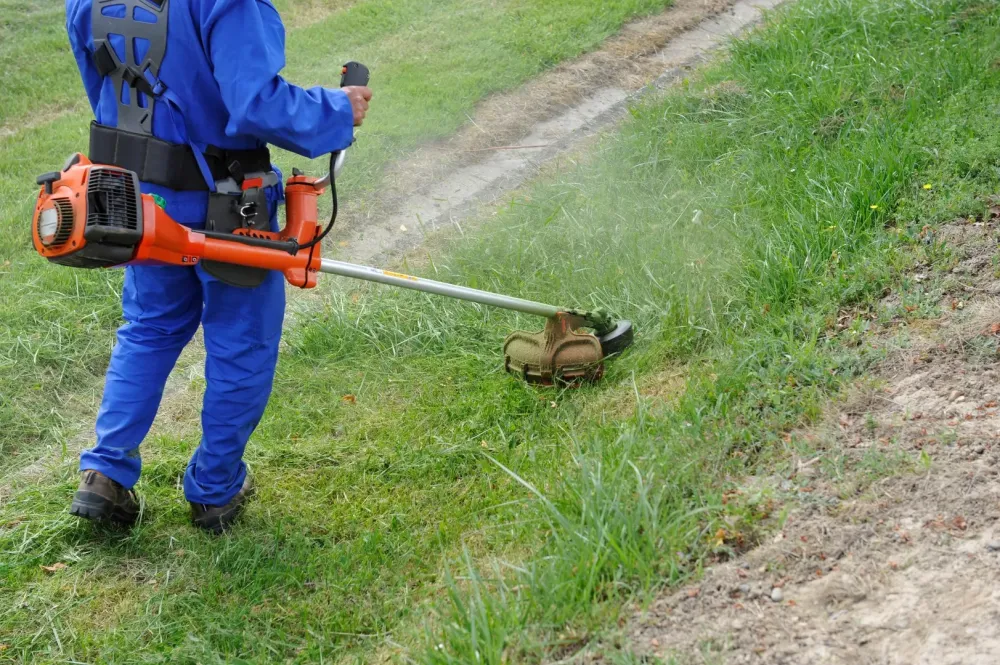 Débroussaillage à Vitrolles