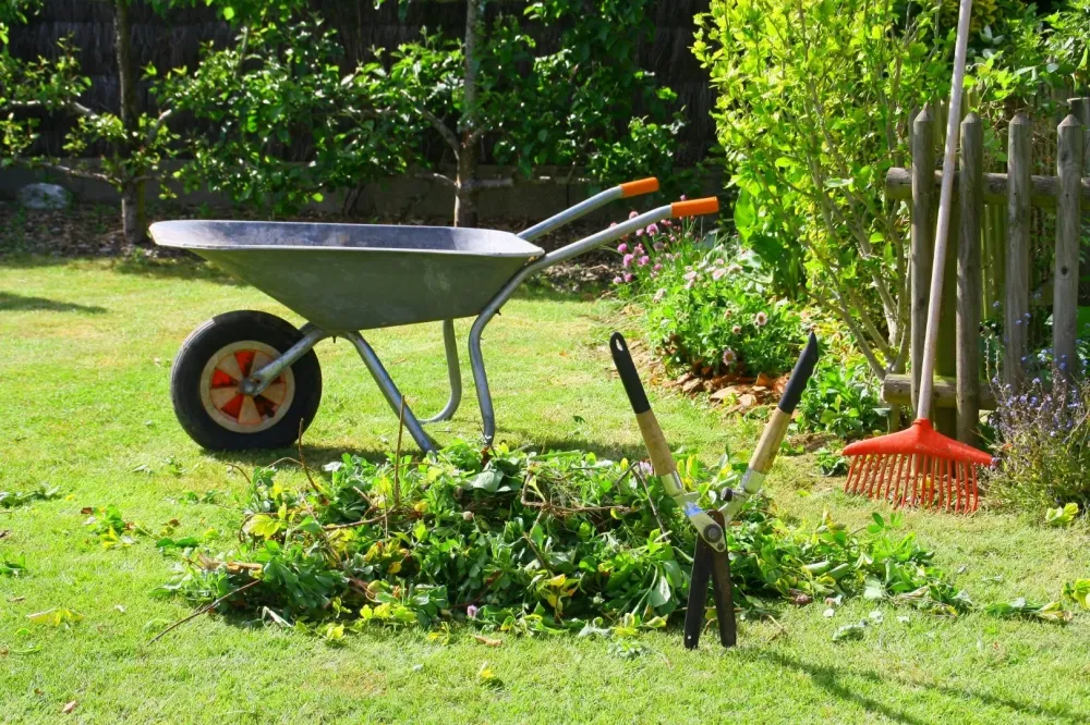 service d'entretien de jardin